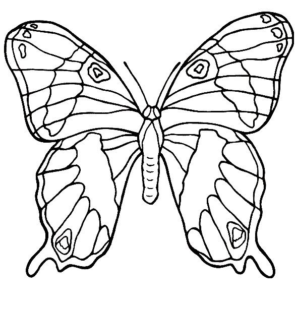 desene de colorat fluture